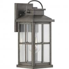 Progress Lighting P560265-103 - Williamston Collection One-Light Antique Pewter and Clear Glass Transitional Style Medium Outdoor Wa