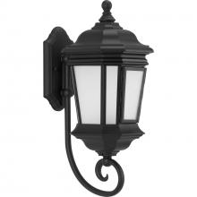 Progress Lighting P6631-31MD - Crawford Collection Black One-Light Medium Wall Lantern