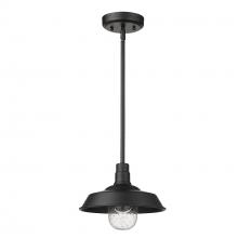 Acclaim Lighting 1736BK - Burry 1-Light Matte Black Convertible Pendant