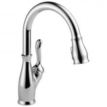 Delta Faucet 9178-DST - Leland® Single Handle Pull-Down Kitchen Faucet with ShieldSpray® Technology