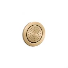 KOHLER 8014-BGD - WaterTile® Round Round 54-nozzle body spray with soothing spray