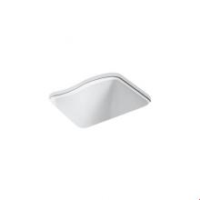 KOHLER 6657-4U-0 - River Falls™ 25'' x 22'' x 14-15/16'' undermount utility sink with