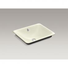 KOHLER 5400-P5-FD - Iron Plains™ Wading Pool® Rectangle Lav