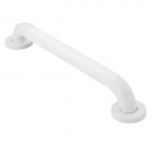 Moen R8724W - Glacier 24'' Concealed Screw Grab Bar