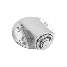 Moen 8290 - Chrome showerhead