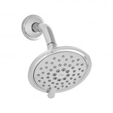 American Standard 1660739.002 - Patience® 5-Inch 2.5 gpm/9.5 L/min Fixed Showerhead