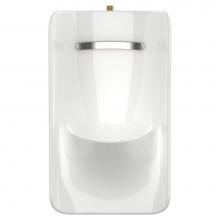 American Standard 6516001EC.020 - Greenbrook® 0.125 – 0.5 gpf (0.47 – 1.9 Lpf) Top Spud Urinal with EverClean