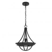 Hunter 19418 - Hunter Perch Point Noble Bronze 1 Light Pendant Ceiling Light Fixture