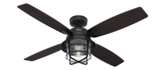 Hunter 50391 - Hunter 52 in Port Royale Natural Black Iron Damp Rated Ceiling Fan with LED LT Kit & Handheld Remote