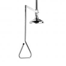 Speakman SE-220-SS - Speakman Lifesaver Stainless Steel Vertical Emergency Shower