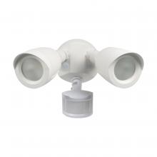 Security Lights