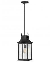 Hinkley 2392TK - Medium Hanging Lantern