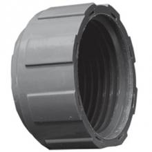 LASCO Fittings 1348010 - Cap, Fipt W/O O-Ring, Ultrazone