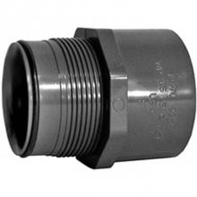 LASCO Fittings 336020 - 2 M Adapter ( S X Macme)