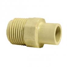 LASCO Fittings 4161005 - 1/2 Street Male Adapter