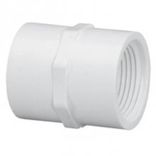 LASCO Fittings 430005 - 1/2 Fpt X Fpt Coupling