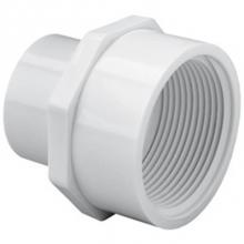 LASCO Fittings 435101 - 3/4 X  1/2 Slip X Fpt Reducing Female Adapter