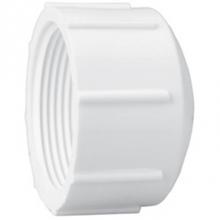 LASCO Fittings 448007 - 3/4 Fpt Cap