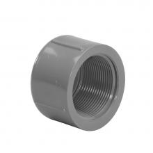 LASCO Fittings 848015 - 1 1/2 Cap, Fpt