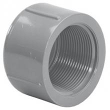 LASCO Fittings 9848005 - 1/2 Fpt Cap