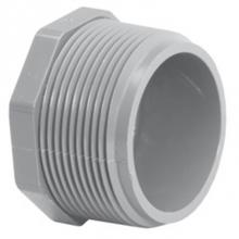 LASCO Fittings 9850007 - 3/4 Mpt Plug